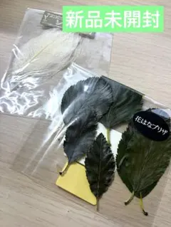 【未開封】プリザーブドフラワーの葉セット　スケルトンリーフ＆アリシエールグリーン