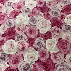 Item thumbnail for item 1d96c1c0-71a4-491a-958b-9c9506aa8412