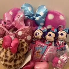 ディズニー ミニー ファンダーランド パルパルーザ 9点セット