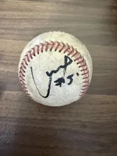 プロ野球直筆サインボール