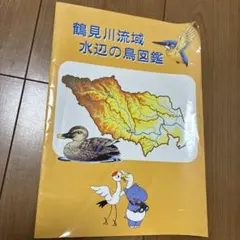 鶴見川流域 水辺の鳥図鑑