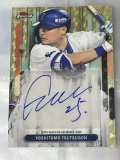 Item thumbnail for item 3a68f024-bb97-4791-ab30-e39ae07265e7