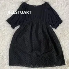JILLSTUART 刺繍 アイレットレース切り替え 異素材チュニック ブラウスのサムネイル