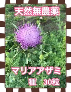 キキ2様 リクエスト 2点 まとめ商品