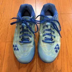 Item thumbnail for item 810b01dd-29fc-4833-b128-84439aa1e417