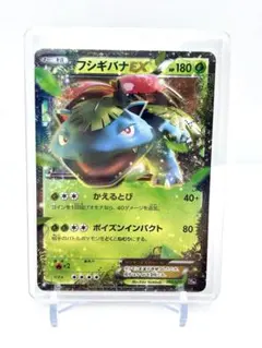 フシギバナEX XY BREAK 20thのサムネイル