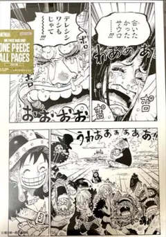 ONE PIECE ALL PAGES ロシナンテ コラソン ロー - メルカリ