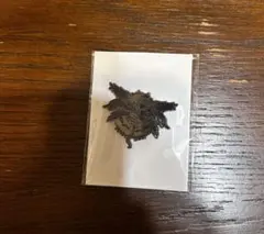 グラブル 紋章ピンズ 堕天司