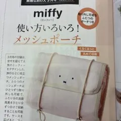 素敵なあの人の付録（メッシュポーチ）