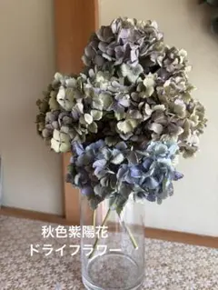 リピ割】ハンドメイド 秋色紫陽花ドライフラワー パープル系11点 ※現品