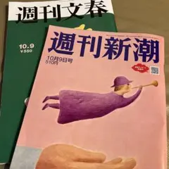 Item thumbnail for item e32ae26d-8386-4968-8152-b79e185333be