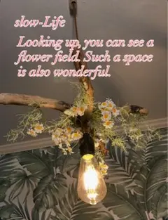 Item thumbnail for item 1cfc4896-4042-4dc3-9b23-a427a5256c97