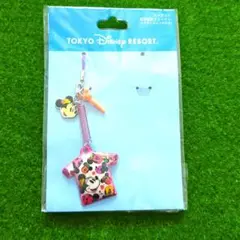 ディズニーリゾート☆　携帯電話クリーナー　ストラップ　イヤホンジャック付き
