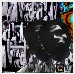 Item thumbnail for item c5726820-13d6-4657-bfca-77cb6381f493