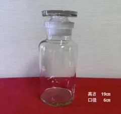 保存容器 ケース ホルムガード スカーラ 1L ガラス瓶 キャニスター