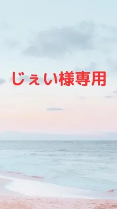 じぇい様専用品です。④