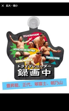 大相撲ファンクラブ カーサイン 豊昇龍、正代、翠富士、朝乃山