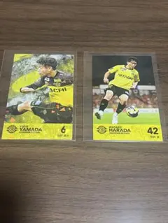 レイソル 記念グッズ