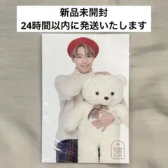 SEVENTEEN CAFE 2020 ディノ ポストカードセット