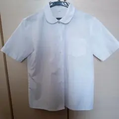 【早期発送】 スクールシャツ 丸襟 レディースサイズL