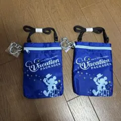 東京ディズニーリゾート バケーションパッケージ ポーチ 2個セット