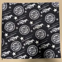 E.YAZAWA クッションカバー　スリーロゴ☆☆ logos star 矢沢永吉 E.YAZAWA クッションカバー（ロゴ星）フレーム - メルカリ