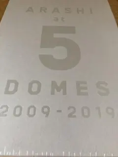 嵐 ファンクラブ限定 ライブ写真集