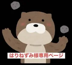 はりねずみ様専用ページ