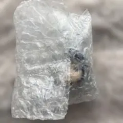 ねんどろいど サプライズ スア