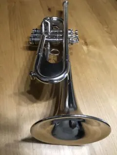 2025年最新】lotus マウスピースの人気アイテム - メルカリ