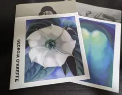 COMME des GARÇONS DM 2025SS