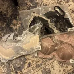 Item thumbnail for item 73f95d26-b6e4-46fb-957c-2e93d37ed3df