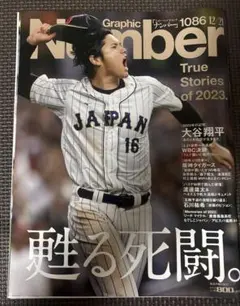 Item thumbnail for item cc6a0bbc-b5e7-40f0-bb7c-02ab487c5db2