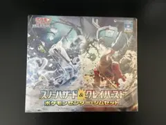 スノーハザード&クレイバースト ポケモンセンター・ジムセット シュリンク付