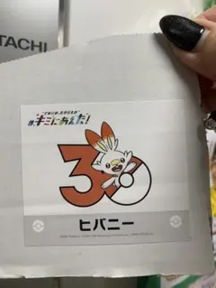 ポケモン キミにあえた ヒバニーのサムネイル