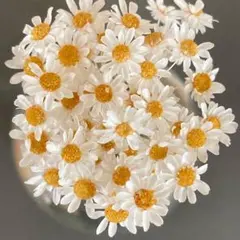 Tiffany☆*様 リクエスト 2点 まとめ商品