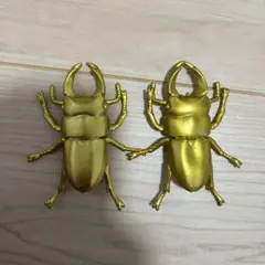 2025年最新】クワガタ標本セットの人気アイテム - メルカリ
