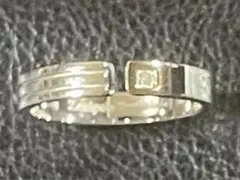 zanipoloterlni／ザニポロタルツィーニのサムネイル
