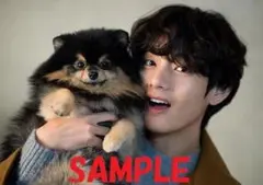 BTS／94／A4サイズ写真／人気品／バンタン／BTSkrair