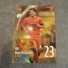 Item thumbnail for item 1f9af3f5-7955-40e6-8eff-a18d7bedf2db