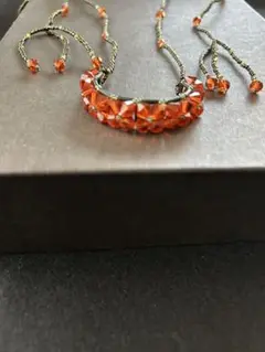 スワロフスキー目