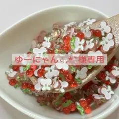 ゆーにゃん✩.*˚様専用