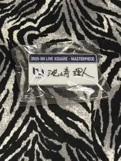 INI 池﨑理人 ネームプレート カプセルトイ