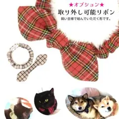 Item thumbnail for item 92933b23-c956-4472-8150-d0b07c11d5a5