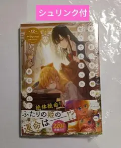 ある日、お姫様になってしまった件について 12巻 ある姫