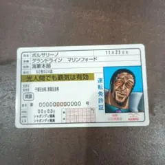 Item thumbnail for item 5999273d-84c0-482c-a01b-f84c942885bf