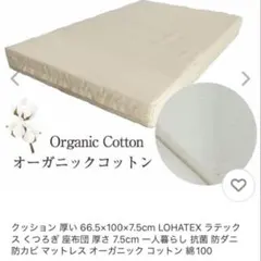 LOHATEX くつろぎ座布団　お昼寝マット ラテックス 高反発 クッションのサムネイル