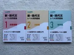 新・現代文レベル別問題集1 2 3
