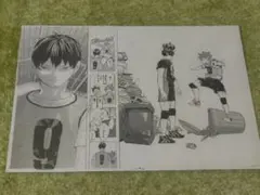 ハイキュー!!連載5周年記念　複製原画
