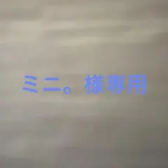 ミニ。様専用